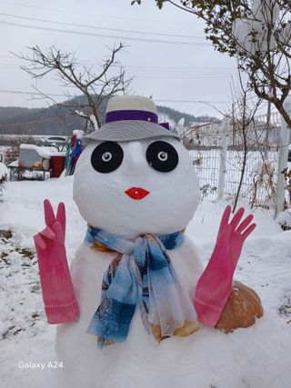 금동이네님의 자유주제 · 자유게시판 작성글 사진