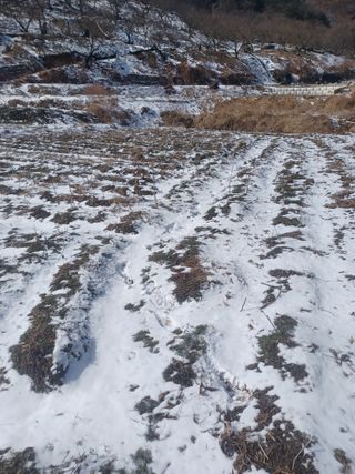 무료지식나눔 팜닥터님의 2월 농사 계획 공유해요 · 참여글 작성글 사진