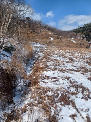 무료지식나눔 팜닥터님의 2월 농사 계획 공유해요 · 참여글 작성글 사진