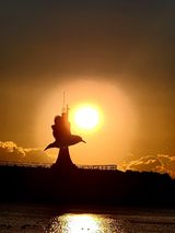 팜모닝 자유주제·자유게시판 게시글 이미지