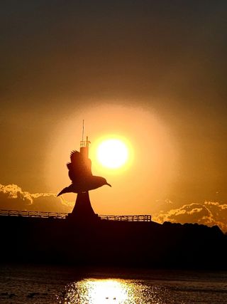 황철환님의 자유주제 · 자유게시판 작성글 사진