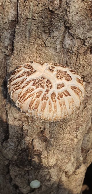 한밭농원님의 자유주제 · 자유게시판 작성글 사진