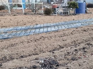 땅콩100kg님의 2월 농사 계획 공유해요 · 참여글 작성글 사진