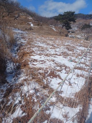 무료지식나눔 팜닥터님의 2월 농사 계획 공유해요 · 참여글 작성글 사진