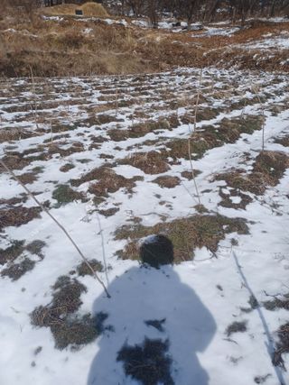 무료지식나눔 팜닥터님의 2월 농사 계획 공유해요 · 참여글 작성글 사진