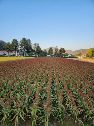 원주청년님의 작성글 사진