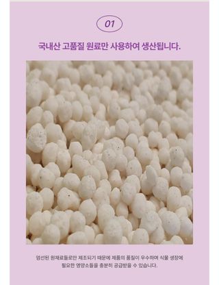 대산농사대장님의 양파 · 자유게시판 작성글 사진