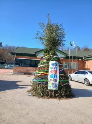 따사매님의 자유주제 · 자유게시판 작성글 사진