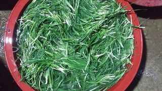 박정규님의 작성글 사진