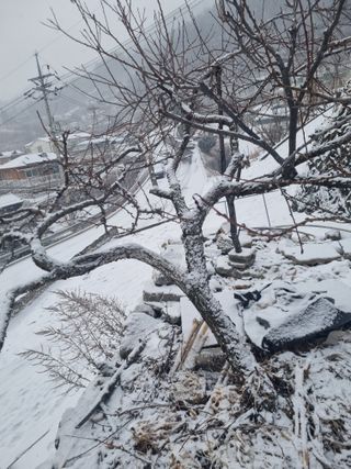 김용대님의 자유주제 · 자유게시판 작성글 사진