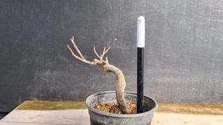 이정운님의 작성글 사진