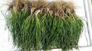 박정규님의 작성글 사진