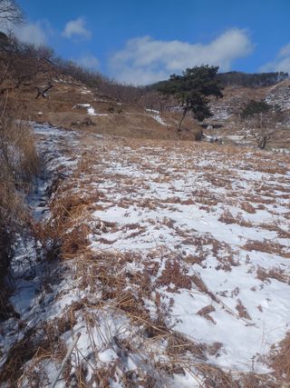 무료지식나눔 팜닥터님의 2월 농사 계획 공유해요 · 참여글 작성글 사진