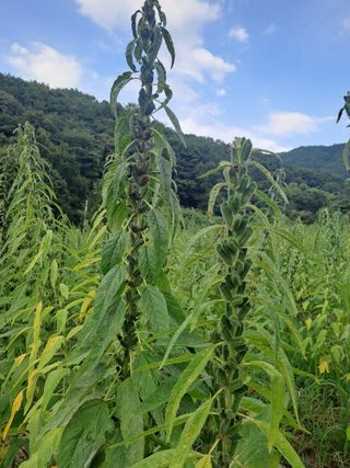 박흠님의 자유주제 · 자유게시판 작성글 사진