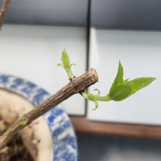 정미리님의 자유주제 · 자유게시판 작성글 사진