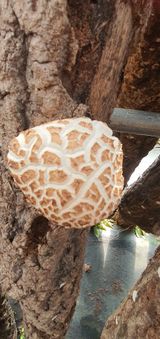 팜모닝 자유주제·자유게시판 게시글 이미지