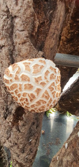 한밭농원님의 자유주제 · 자유게시판 작성글 사진