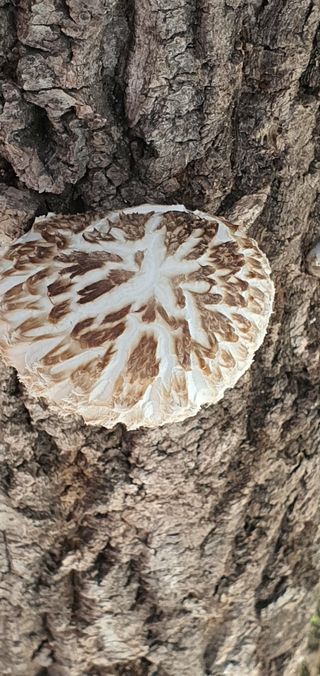 한밭농원님의 자유주제 · 자유게시판 작성글 사진