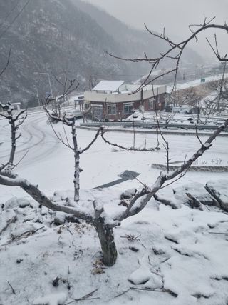 김용대님의 자유주제 · 자유게시판 작성글 사진