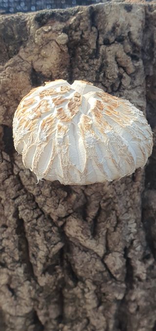 한밭농원님의 자유주제 · 자유게시판 작성글 사진