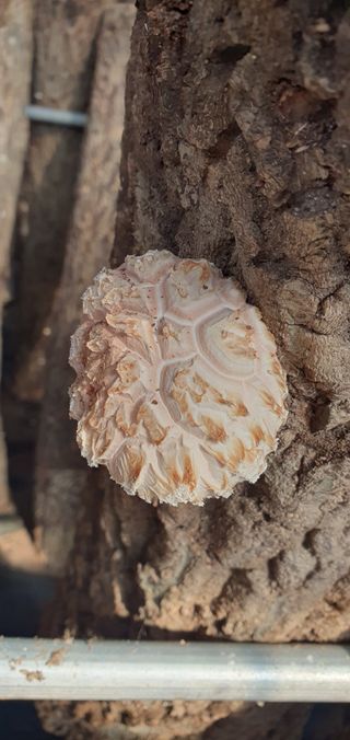 한밭농원님의 자유주제 · 자유게시판 작성글 사진