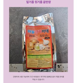 대산농사대장님의 양파 · 자유게시판 작성글 사진