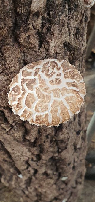 한밭농원님의 자유주제 · 자유게시판 작성글 사진