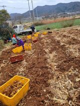 팜모닝 자유주제·자유게시판 게시글 이미지