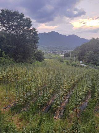 박흠님의 자유주제 · 자유게시판 작성글 사진