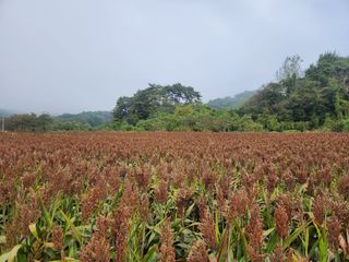 원주청년님의 작성글 사진