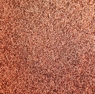 원주청년님의 작성글 사진