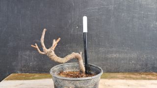 이정운님의 작성글 사진