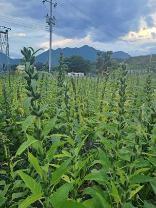 박흠님의 자유주제 · 자유게시판 작성글 사진