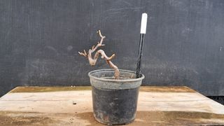 이정운님의 작성글 사진