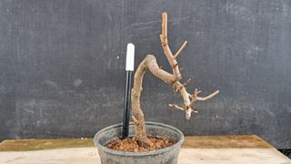 이정운님의 작성글 사진