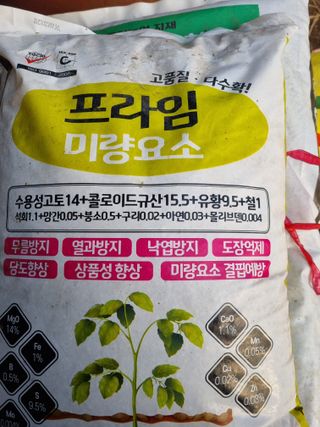 차재경님의 자유주제 · 자유게시판 작성글 사진