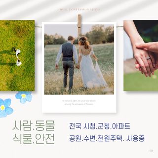 최기홍님의 자유주제 · 자유게시판 작성글 사진