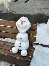 팜모닝 2월 농사 계획 공유해요·참여글 게시글 이미지