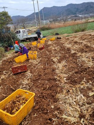 차재경님의 자유주제 · 자유게시판 작성글 사진