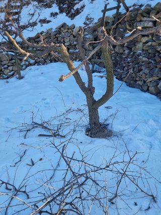 김용대님의 자유주제 · 자유게시판 작성글 사진