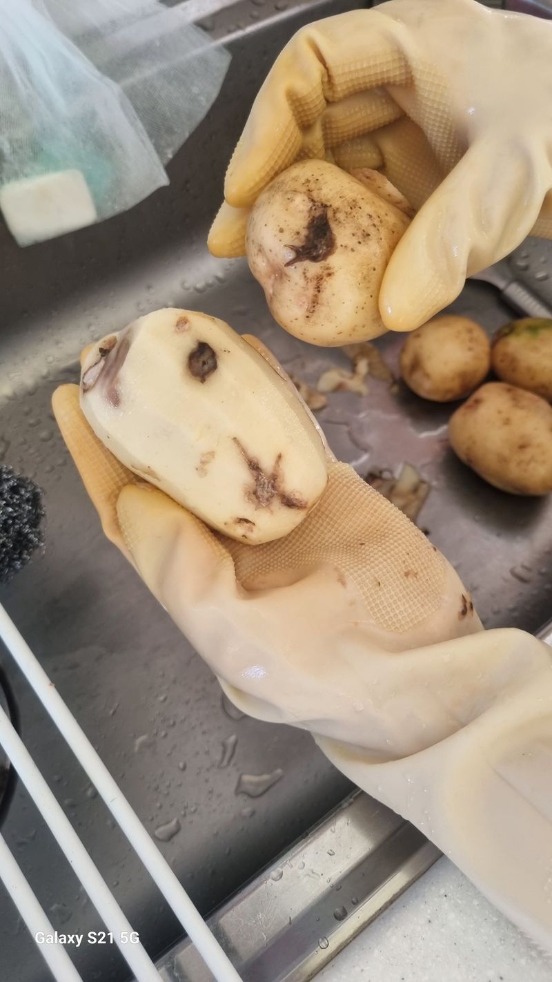 장터 상품 [이런감자를..] 썸네일