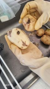 팜모닝 · 게시글 이미지