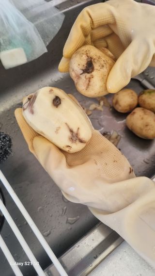 최준영님의 작성글 사진