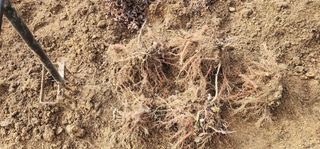 박동현님의 작성글 사진