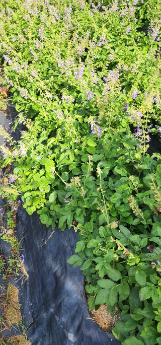 박동현님의 작성글 사진