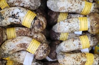 이순화님의 자유주제 · 자유게시판 작성글 사진