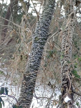 이현상님의 자유주제 · 자유게시판 작성글 사진
