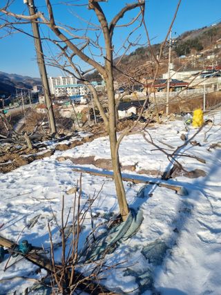 김용대님의 자유주제 · 자유게시판 작성글 사진