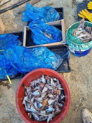 차재경님의 자유주제 · 자유게시판 작성글 사진