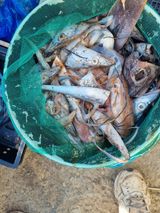 팜모닝 자유주제·자유게시판 게시글 이미지